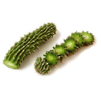 худия гордония - состав Reduslim